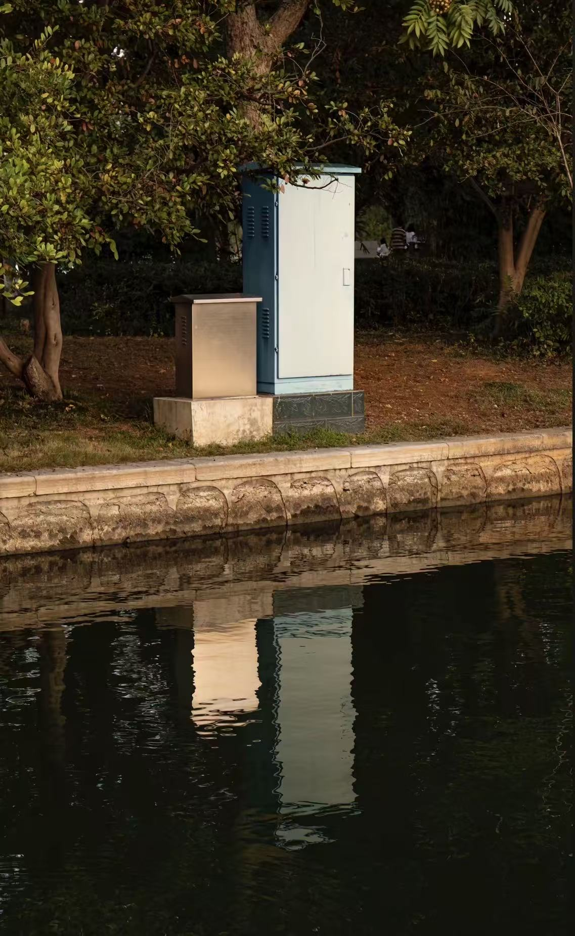 湖岸