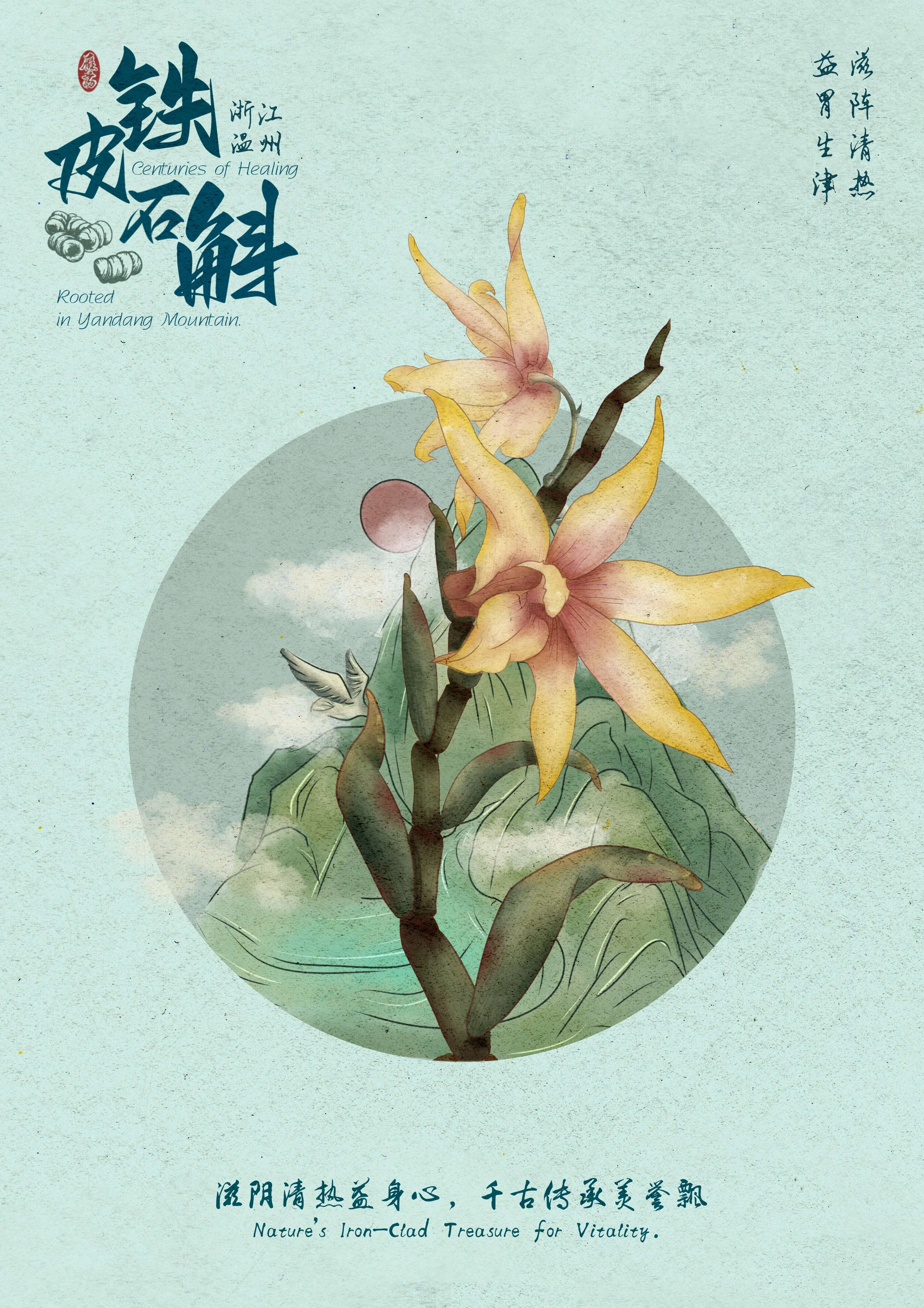 铁皮石斛海报1